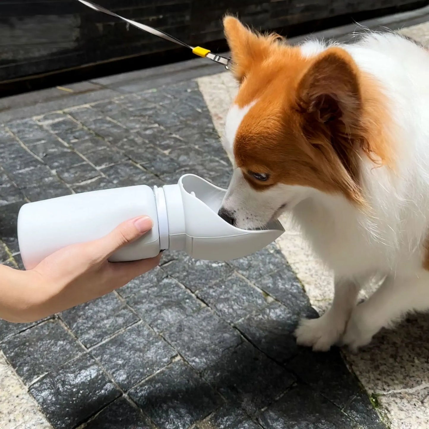 Pawmaro™ Foldable Dog Water Bottle – Leak-Proof Portable Pet Hydration Bottle